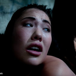 Isis Love en 'Kink' La perra del prisionero (Miniatura 14)