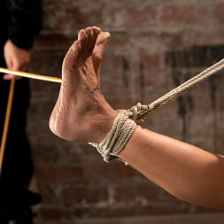 Isis Love in Sexy Amber has her elbows bound together, ankles to neck, and endures foot caning, brutal orgasms. (Photo 10) Isis Love in 'Kink' Sexy Amber has her elbows bound together, ankles to neck, and endures foot caning, brutal orgasms. (Thumbnail 10)