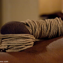 Maitresse Madeline in 'Kink' Merry Christmas Slaveboys! Bonus: Live Divine Bitches Launch Show! (Thumbnail 13)