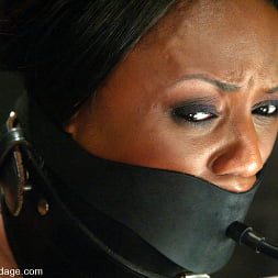 Jada Fire in Jada Fire (Photo 4) Jada Fire in 'Kink' Jada Fire (Thumbnail 4)