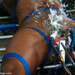 Jada Fire in Jada Fire (Photo 10) Jada Fire in 'Kink' Jada Fire (Thumbnail 10)