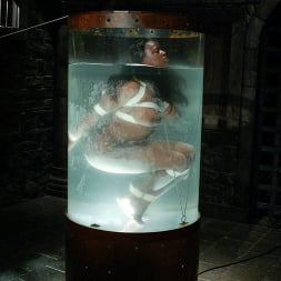 Jada Fire in Jada Fire (Photo 14) Jada Fire in 'Kink' Jada Fire (Thumbnail 14)