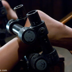 Jade Indica in 'Kink' Jade Indica (Thumbnail 13)