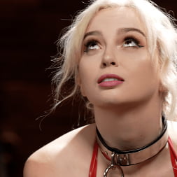 Jade Venus in and Lexi Lore: Mouth and Pussy Training (Photo 1) Jade Venus in 'Kink' and Lexi Lore: Mouth and Pussy Training (Thumbnail 1)