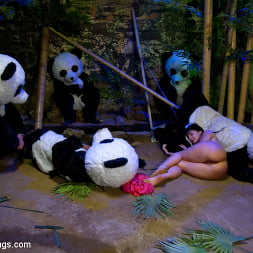 Ashli Orion in 'Kink' PANDAMONIUM!!! PANDA LULLABY!!! PANDA PORNO!!!!! (Thumbnail 11)