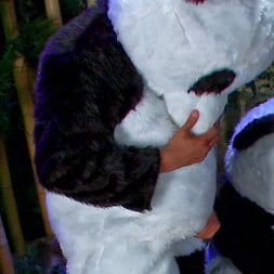 Ashli Orion in 'Kink' PANDAMONIUM!!! PANDA LULLABY!!! PANDA PORNO!!!!! (Thumbnail 13)