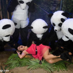 Ashli Orion in 'Kink' PANDAMONIUM!!! PANDA LULLABY!!! PANDA PORNO!!!!! (Thumbnail 14)