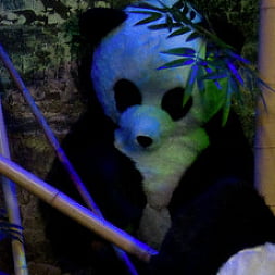 Ashli Orion in 'Kink' PANDAMONIUM!!! PANDA LULLABY!!! PANDA PORNO!!!!! (Thumbnail 16)