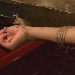 Jessica Creepshow in Tickling: From Teasing to Torment (Photo 12) Jessica Creepshow in 'Kink' Tickling: From Teasing to Torment (Thumbnail 12)