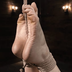 Jessica Ryan in Jessica Ryan: Reunited in Rope (Photo 16) Jessica Ryan in 'Kink' Jessica Ryan: Reunited in Rope (Thumbnail 16)