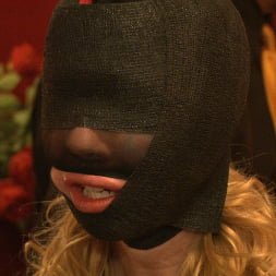 Jessie Cox in Service Day: Trust (Photo 9) Jessie Cox in 'Kink' Service Day: Trust (Thumbnail 9)