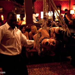 Jessie Cox in 'Kink' Valentine's Day (Thumbnail 5)