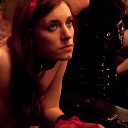 Jessie Cox in 'Kink' Valentine's Day (Thumbnail 11)