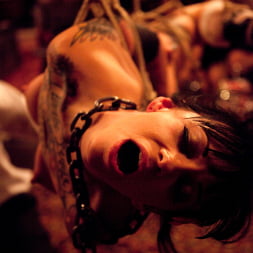 Jessie Cox in 'Kink' Valentine's Day (Thumbnail 13)
