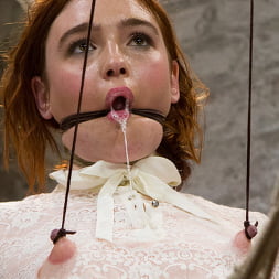 Jodi Taylor in Jodi Taylor: Eager slut elaborately bound, caned, zapped and fucked! (Photo 10) Jodi Taylor in 'Kink' Jodi Taylor: Eager slut elaborately bound, caned, zapped and fucked! (Thumbnail 10)