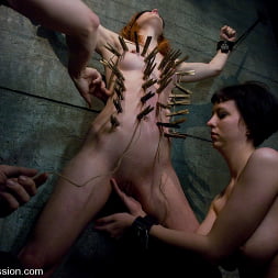 Calico en 'Kink' and Cherry Torn's Live Feed (Miniatura 4)