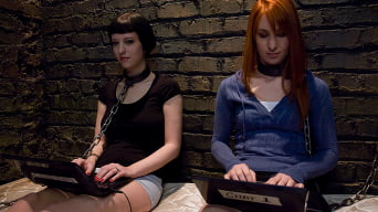 Calico en 'and Cherry Torn's Live Feed'