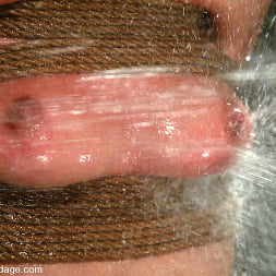Julie Night in Julie Night (Photo 10) Julie Night in 'Kink' Julie Night (Thumbnail 10)