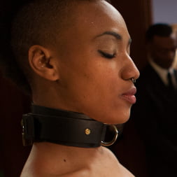 Juliette March in 'Kink' Anal Game Night (Thumbnail 19)