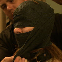 Kait Snow in 'Kink' Service Day: Bunks (Thumbnail 6)