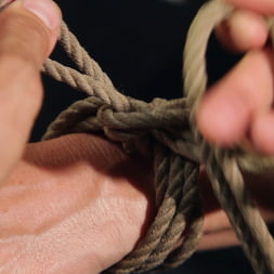 Kanso en 'Kink' Shibari 101 - Ataduras básicas de columnas (Miniatura 3)