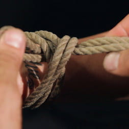 Kanso en 'Kink' Shibari 101 - Ataduras básicas de columnas (Miniatura 18)