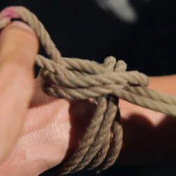 Kanso en 'Kink' Shibari 101 - Ataduras básicas de columnas (Miniatura 21)