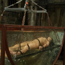 Karma in Karma (Photo 7) Karma in 'Kink' Karma (Thumbnail 7)