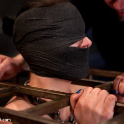 Katharine Cane in 'Kink' Training Katherine Kane Day 2 (Thumbnail 9)