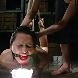 Katja Kassin en 'Kink' and Princess Donna Dolore (Miniatura 13)
