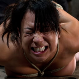 Kayme Kai in Sexy Hawaiian brutally hogtied suffering orgasm after orgasm until she is lying in her own squirt. (Photo 13) Kayme Kai in 'Kink' Sexy Hawaiian brutally hogtied suffering orgasm after orgasm until she is lying in her own squirt. (Thumbnail 13)