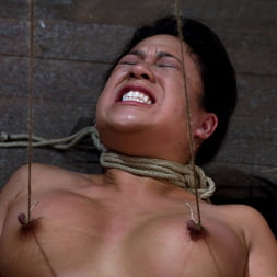 Kayme Kai in Tied and Stretch Huge Nipples Brutal Squirting Orgasms Screaming Never Sounded so Good. (Photo 15) Kayme Kai in 'Kink' Tied and Stretch Huge Nipples Brutal Squirting Orgasms Screaming Never Sounded so Good. (Thumbnail 15)