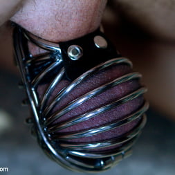 Kimberly Kane in A Cuckold Comedy (Photo 3) Kimberly Kane in 'Kink' A Cuckold Comedy (Thumbnail 3)
