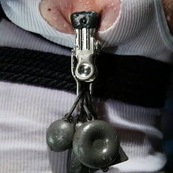 Kimberly Kane in Kimberly Kane (Photo 3) Kimberly Kane in 'Kink' Kimberly Kane (Thumbnail 3)