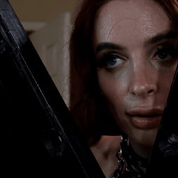 King Noire in Breaks Janie Blade (Photo 4) King Noire in 'Kink' Breaks Janie Blade (Thumbnail 4)