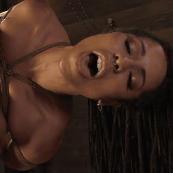 King Noire in 'Kink' Memories: Kira Noir and King Noir (Thumbnail 15)