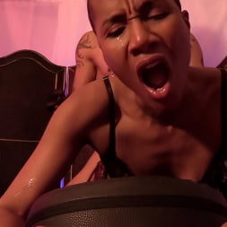 King Noire in 'Kink' Puppy Play: King Noire and Jet Setting Jasmine Find Halo Out Of Her Cage (Thumbnail 9)