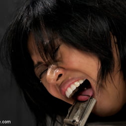 Krissie Dee en Punished by Sebastian Keys on DeviceBondage! (foto 3) Krissie Dee en 'Kink' Punished by Sebastian Keys on DeviceBondage! (Miniatura 3)