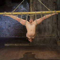 Kristina Rose in 'Kink' Hot Hispanic Drilled and Challenged with Unforgiving Bondage (Thumbnail 10)