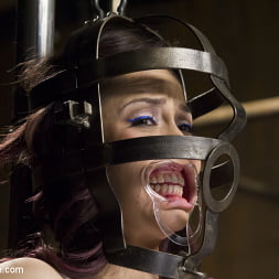 Kristina Rose in - Overwhelmed with Brutal Bondage and Non-stop Torment (Photo 1) Kristina Rose in 'Kink' - Overwhelmed with Brutal Bondage and Non-stop Torment (Thumbnail 1)
