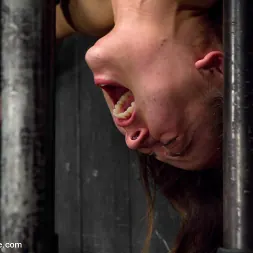 Kristina Rose in 'Kink' Captured and fucked in extreme bondage positions (Thumbnail 14)