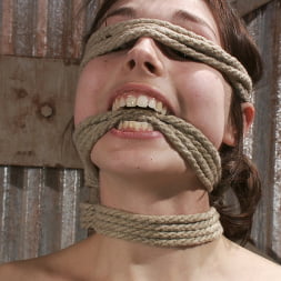 Kristine Kahill in How Far Will She Go (Photo 8) Kristine Kahill in 'Kink' How Far Will She Go (Thumbnail 8)