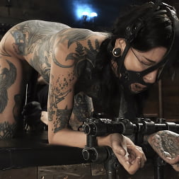 Krysta Kaos in 'Kink' Down and Dirty: Krysta Kaos (Thumbnail 16)