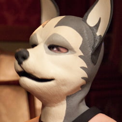 Krysta Kaos in Minx' Puppy Party (Photo 1) Krysta Kaos in 'Kink' Minx' Puppy Party (Thumbnail 1)