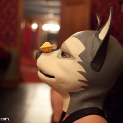 Krysta Kaos in Minx' Puppy Party (Photo 17) Krysta Kaos in 'Kink' Minx' Puppy Party (Thumbnail 17)