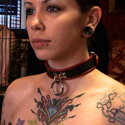 Krysta Kaos in Service Day: Master Acworth (Photo 2) Krysta Kaos in 'Kink' Service Day: Master Acworth (Thumbnail 2)