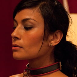 Krysta Kaos in 'Kink' Slave Initiation: piggy Part 1 (Thumbnail 13)
