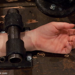 Kylie Ireland in Fucked so hard in ass she begs for it to stop (Photo 11) Kylie Ireland in 'Kink' Fucked so hard in ass she begs for it to stop (Thumbnail 11)