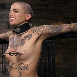Leigh Raven in Alternative Pain Slut Leigh Raven Gets Whipped, Caned, and Clamped (Photo 13) Leigh Raven in 'Kink' Alternative Pain Slut Leigh Raven Gets Whipped, Caned, and Clamped (Thumbnail 13)
