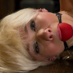 Lexi LaRue en 'Kink' Estudiante universitaria rubia atada fuerte y follada brutalmente (Miniatura 15)